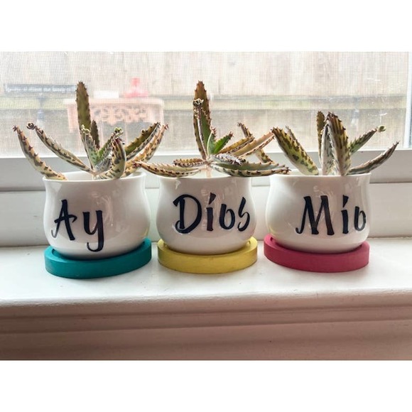 AY DIOS MIO - Mini Planters, 3 Piece Set, Small Succulent Plant Holders - Picture 2 of 3
